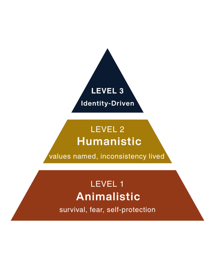 The Toxic Culture Pyramid for delivering HR in a toxic culture — Level 1 Animalistic, Level 2 Humanistic, Level 3 Identity-Driven